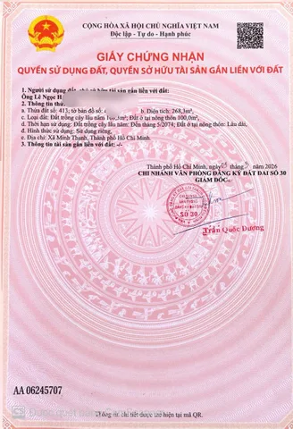 Bất động sản tại Bình Dương - ảnh 1