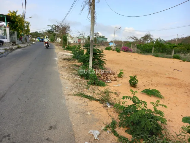 Bất động sản tại Lâm Đồng - ảnh 1