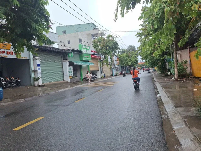 Bất động sản tại Bình Dương - ảnh 1