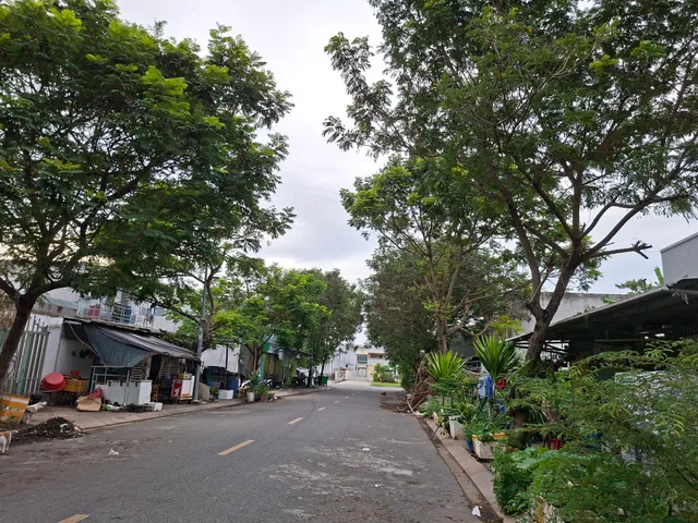 Bất động sản tại Tây Ninh - ảnh 1