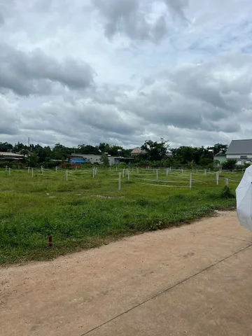 Bất động sản tại Bình Dương - ảnh 1