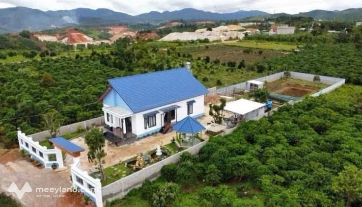 Bất động sản tại Lâm Đồng - ảnh 1