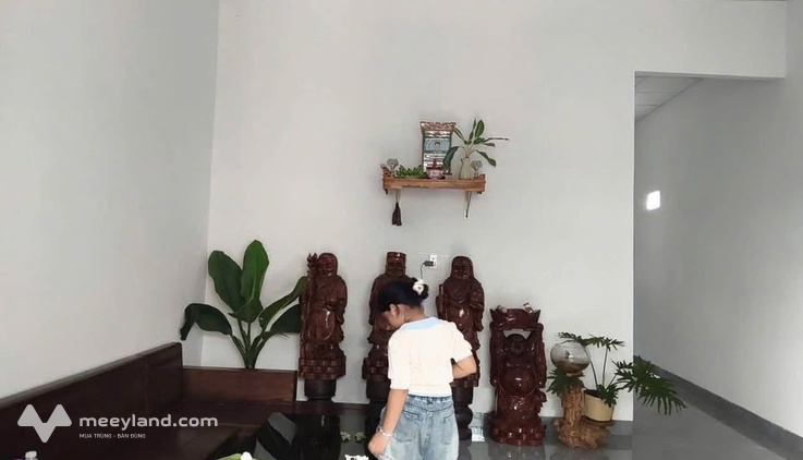 Bất động sản tại Đắk Lắk - ảnh 1