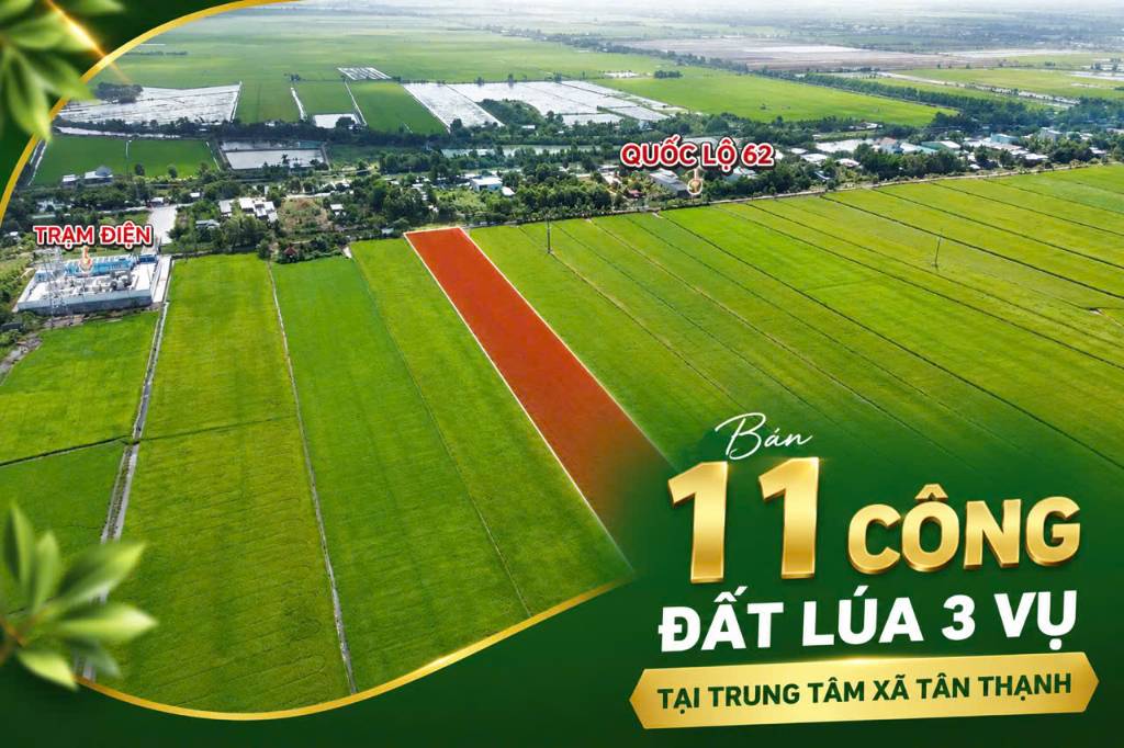 Bất động sản tại Long An - ảnh 1