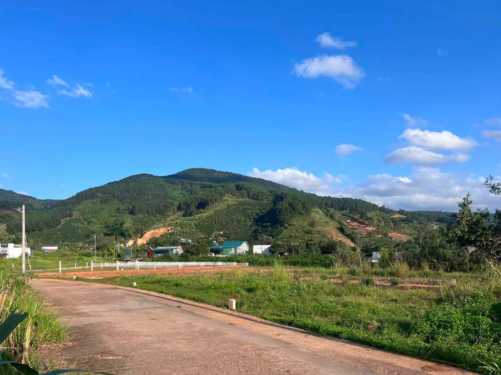 Bất động sản tại Lâm Đồng - ảnh 1