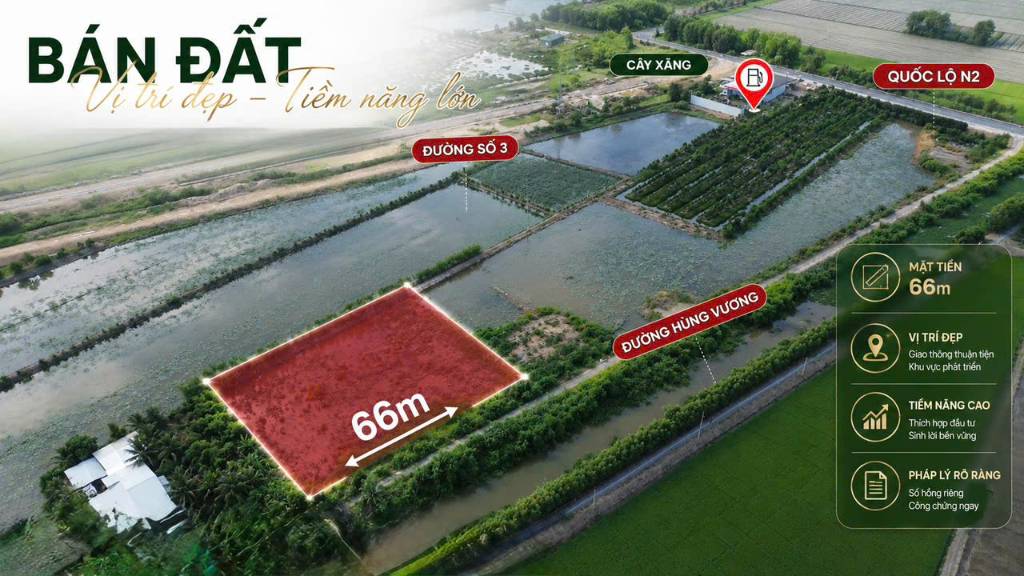 Bất động sản tại Long An - ảnh 1