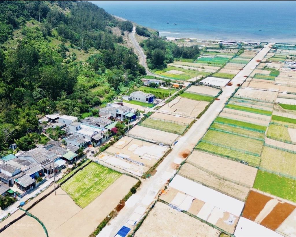 Bất động sản tại Quảng Ngãi - ảnh 1