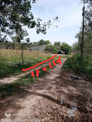 Bất động sản tại Tây Ninh - ảnh 1