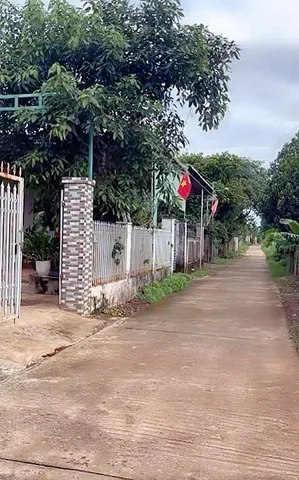 Bất động sản tại Đắk Lắk - ảnh 1