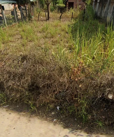 Bất động sản tại Gia Lai - ảnh 1