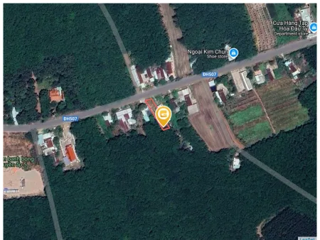 Bất động sản tại Bình Dương - ảnh 1