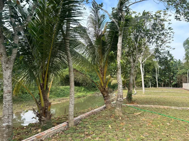 Bất động sản tại Hòa Bình - ảnh 1