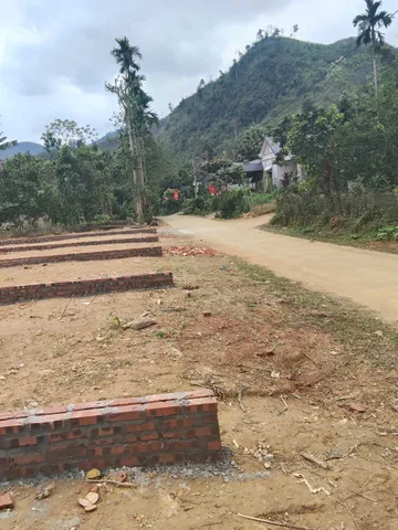 Bất động sản tại Phú Thọ - ảnh 1