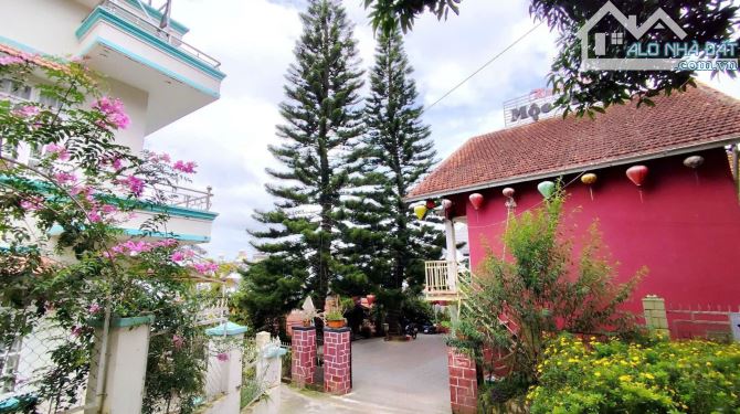Bất động sản tại Lâm Đồng - ảnh 1