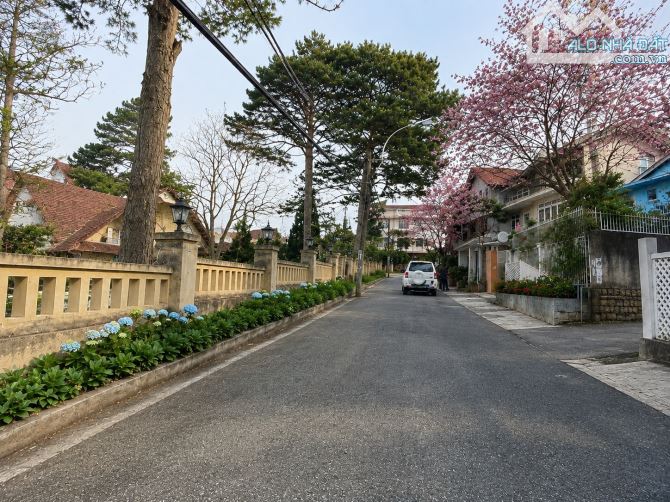 Bất động sản tại Lâm Đồng - ảnh 1