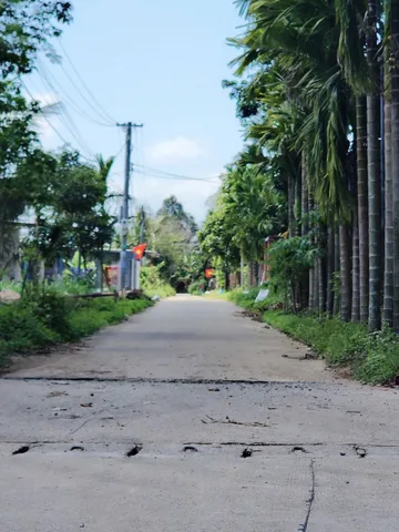 Bất động sản tại Quảng Ngãi - ảnh 1