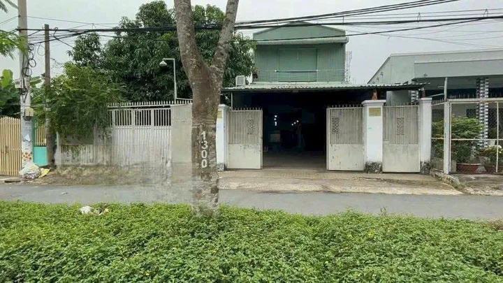 Bất động sản tại TP. Hồ Chí Minh - ảnh 1