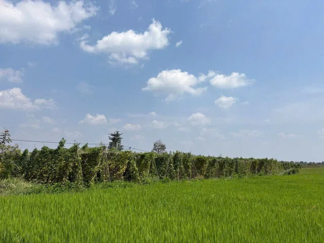 Bất động sản tại Đắk Lắk - ảnh 1