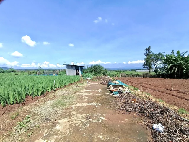 Bất động sản tại Lâm Đồng - ảnh 1
