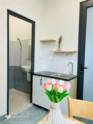 Bất động sản tại TP. Hồ Chí Minh - ảnh 1