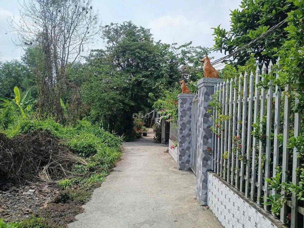 Bất động sản tại Long An - ảnh 1