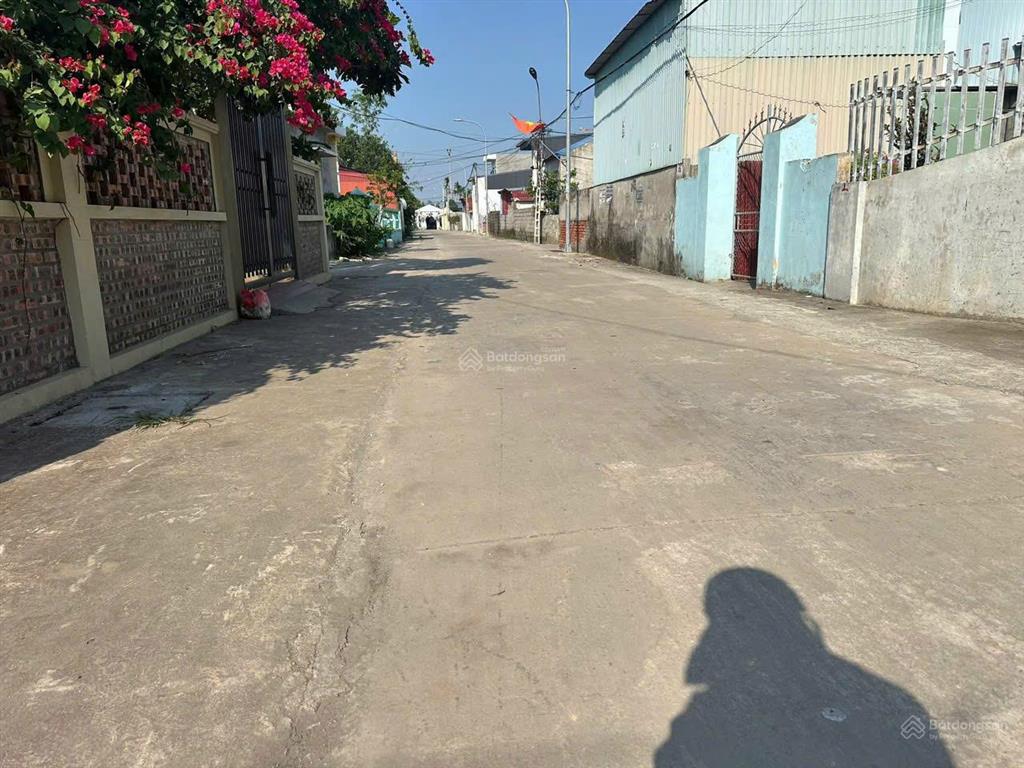 Bất động sản tại Hải Phòng - ảnh 1