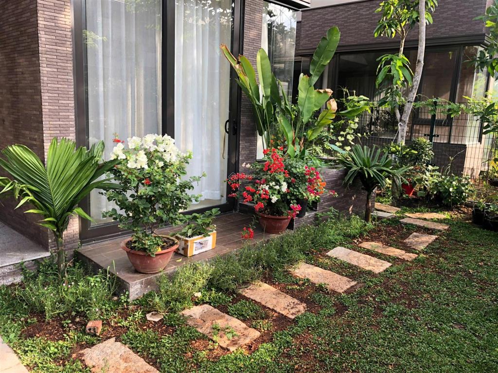 Bất động sản tại Long An - ảnh 1