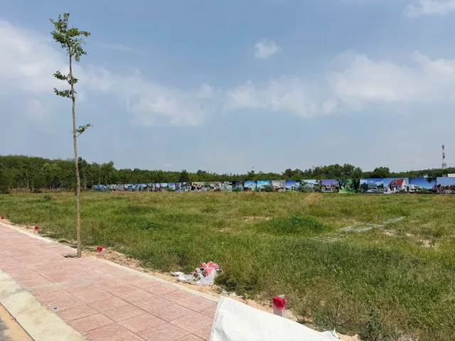 Bất động sản tại Bình Dương - ảnh 1
