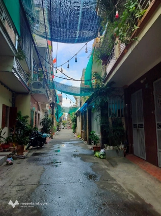 Bất động sản tại Thái Bình - ảnh 1