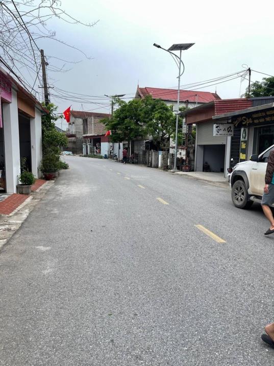 Bất động sản tại Hưng Yên - ảnh 1