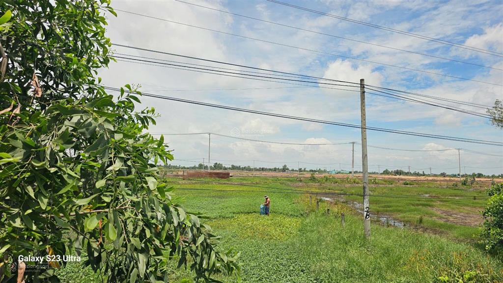 Bất động sản tại Long An - ảnh 1