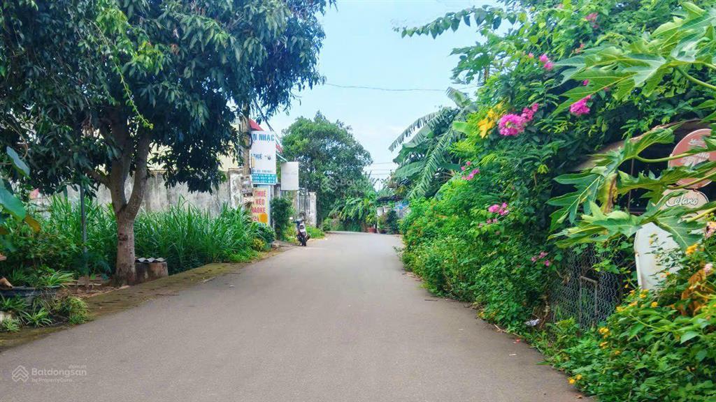 Bất động sản tại Bà Rịa - Vũng Tàu - ảnh 1