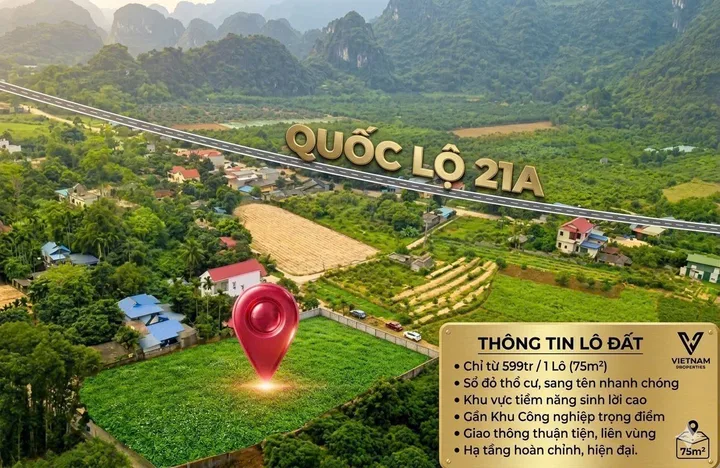 Bất động sản tại Phú Thọ - ảnh 1