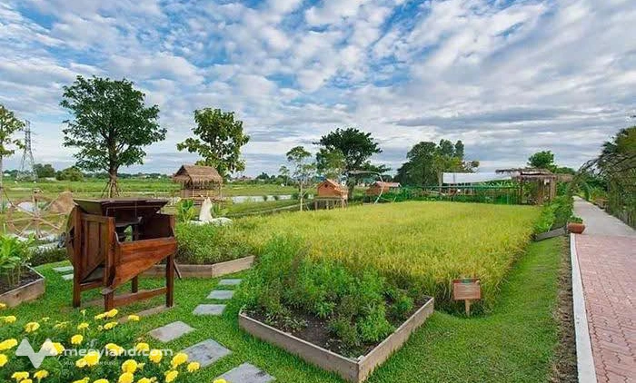 Bất động sản tại Đà Nẵng - ảnh 1