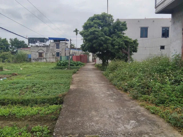 Bất động sản tại Hải Phòng - ảnh 1