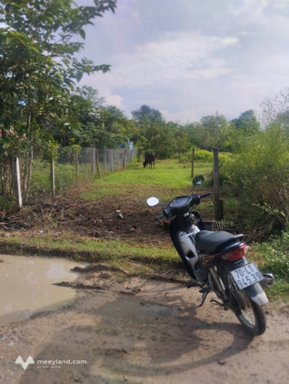 Bất động sản tại Tây Ninh - ảnh 1