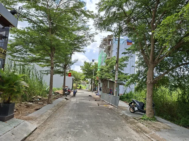 Bất động sản tại TP. Hồ Chí Minh - ảnh 1