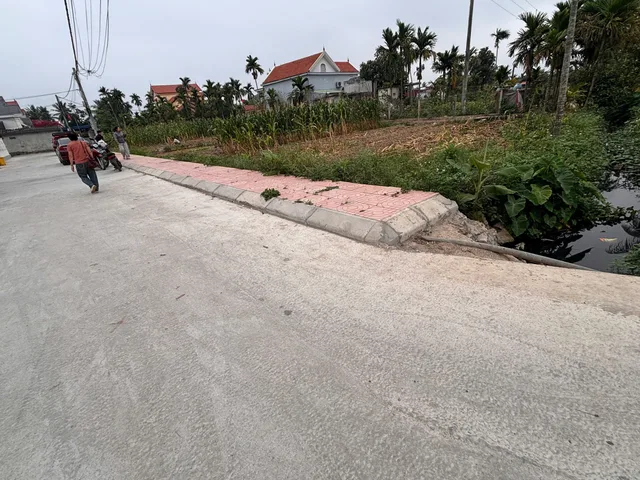 Bất động sản tại Hải Phòng - ảnh 1