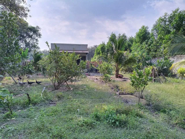 Bất động sản tại Đồng Nai - ảnh 1