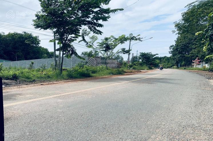 Bất động sản tại Bình Dương - ảnh 1