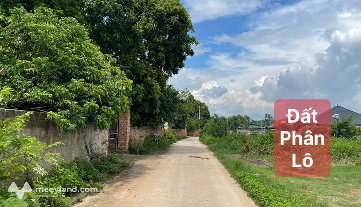 Bất động sản tại Vĩnh Phúc - ảnh 1