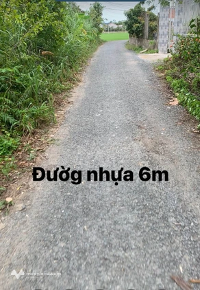 Bất động sản tại Long An - ảnh 1