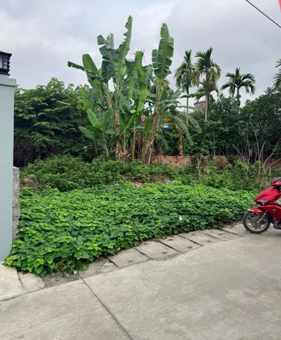 Bất động sản tại Hải Phòng - ảnh 1