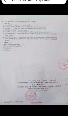 Bất động sản tại Bình Dương - ảnh 1