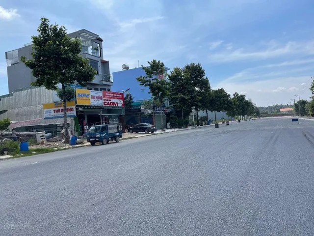 Bất động sản tại Bình Dương - ảnh 1