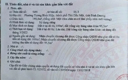 Bất động sản tại Bình Dương - ảnh 1