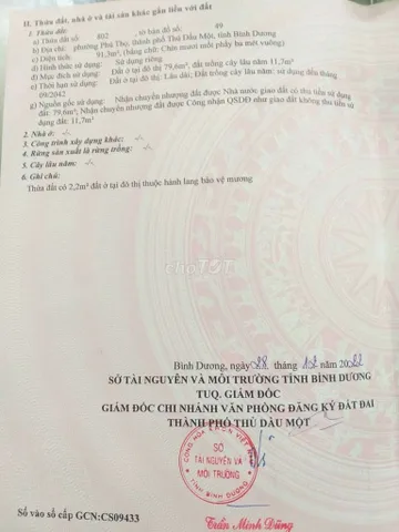 Bất động sản tại Bình Dương - ảnh 1
