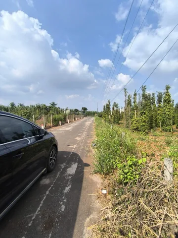 Bất động sản tại Bà Rịa - Vũng Tàu - ảnh 1