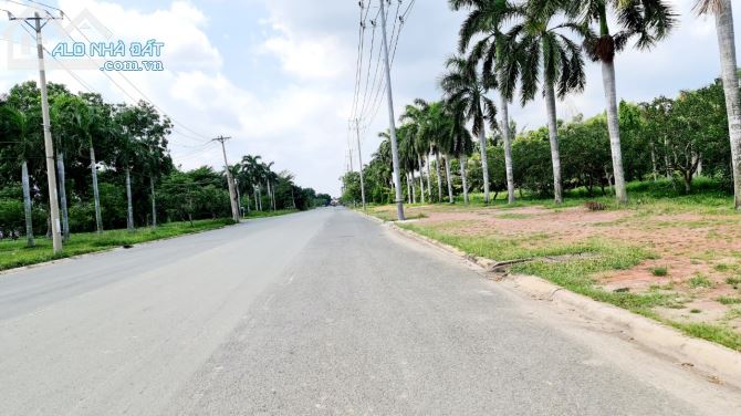 Bất động sản tại Long An - ảnh 1