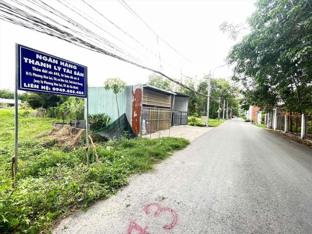 Bất động sản tại Bình Dương - ảnh 1